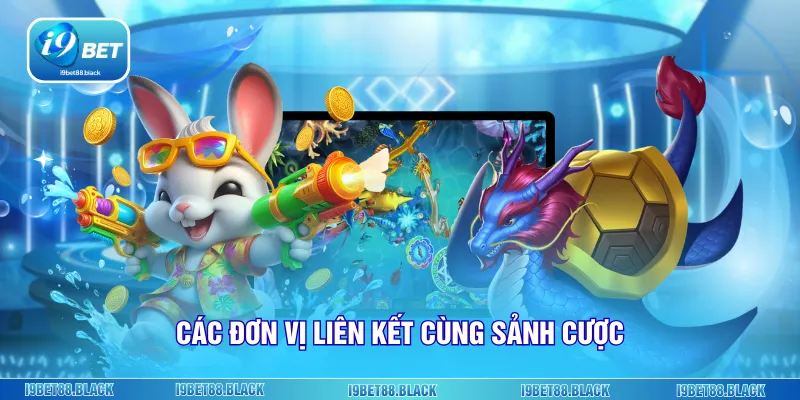 Các đơn vị liên kết cùng sảnh cược
