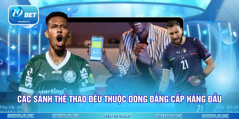 Các sảnh thể thao đều thuộc dòng đẳng cấp hàng đầu