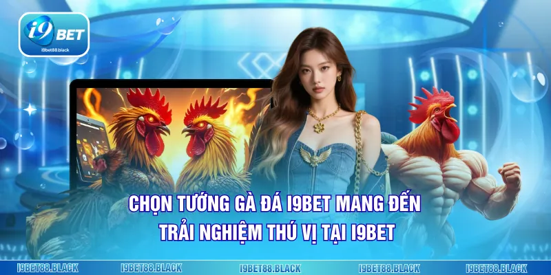 Chọn tướng gà đá i9bet mang đến trải nghiệm thú vị tại i9bet