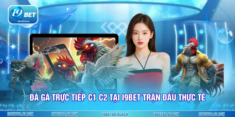Đá gà trực tiếp C1 C2 tại i9bet trận đấu thực tế